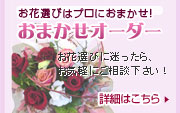 おまかせオーダーの詳細はこちら