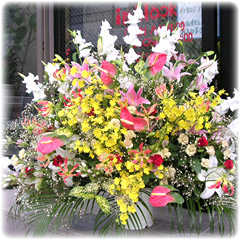 開店祝いスタンド花